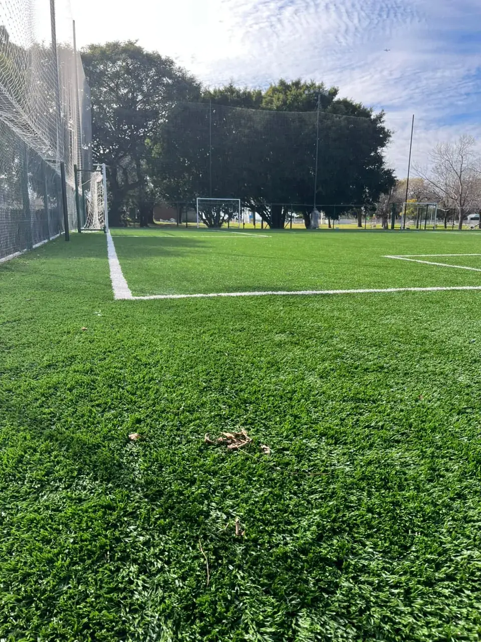 Araoz Futbol field